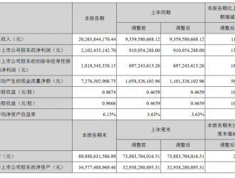 寧德時(shí)代半年財(cái)報(bào)：凈利潤(rùn)增130%至21億元 四大風(fēng)險(xiǎn)需警惕