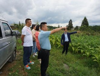 通過直供園區(qū)增量配電網(wǎng) 同步建立完善電力銷售、服務(wù)體系