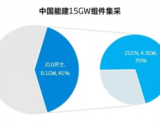 4.3GW！超過(guò)20家企業(yè)競(jìng)逐210 N組件投標(biāo)