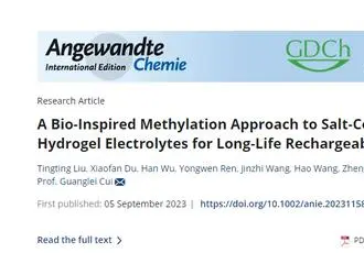 柔性鈉離子電池容量及穩(wěn)定性獲提升！新技術(shù)可防止電解質(zhì)鹽析……
